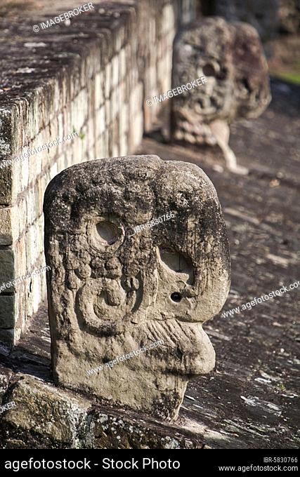 Sculpted Macaw Markers on the Ball court, the Great Plaza, Copán Archeological Park, Honduras, Central America