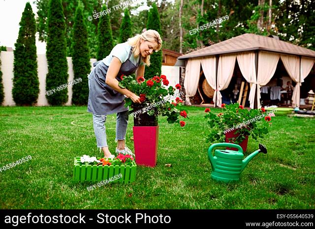 Smiling woman in apron works with flowers in the garden. Female gardener takes care of plants outdoor, gardening hobby, florist lifestyle and leisure