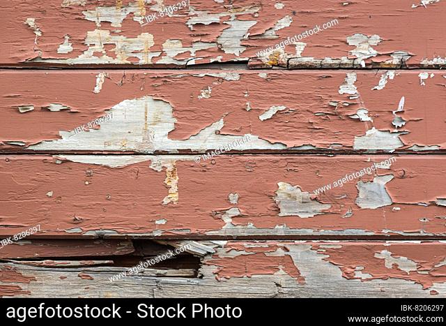 Weathered wood panel wall with peeling paint textured background