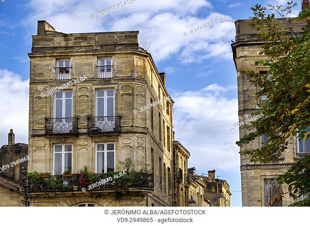 Building in the historic center, Bordeaux. Aquitaine Region, Gironde Department. France Europe