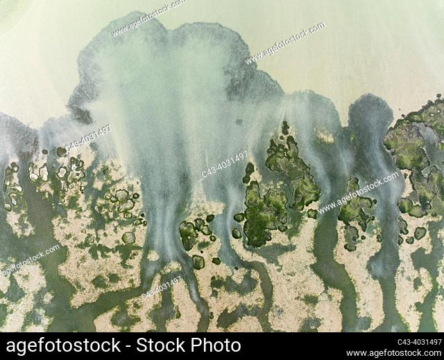 Network of channels and streams at low tide at their confluence with a larger body of water. In the marshland of the Bahía de Cádiz. Aerial view