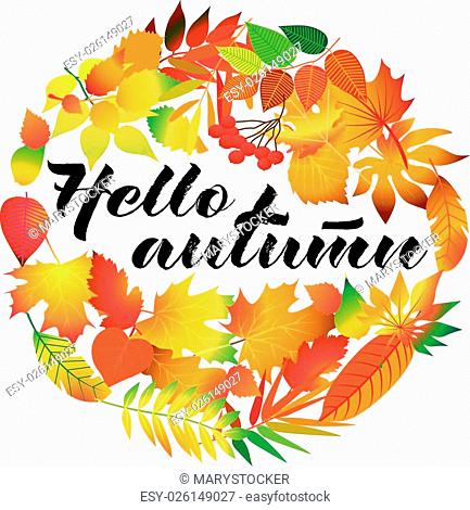 Autumnal round frame. Wreath of autumn leaves. Background with beautiful autumn leaves. Fall of the leaves. Isolated design elements