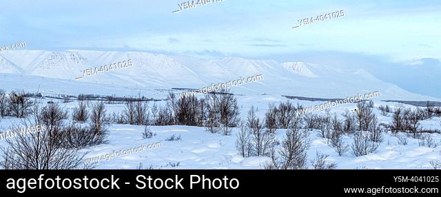 Winter Icelandic Road Trip, Akureyri, Northeastern Region. Iceland, Europe
