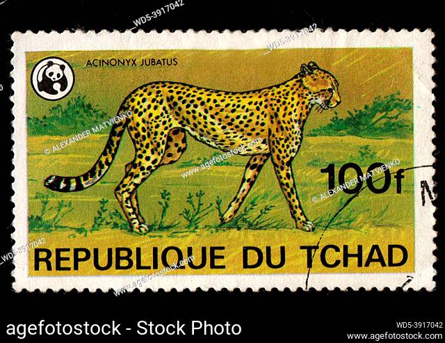 Chad - CIRCA 1982: African cheetah depicted on postage stamp. Chad postage stamp featuring cheetah. The most fast animal on all over the World