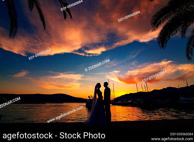 Silhouette of a newlywed couple on the background of the setting sun on the sea in Montenegro