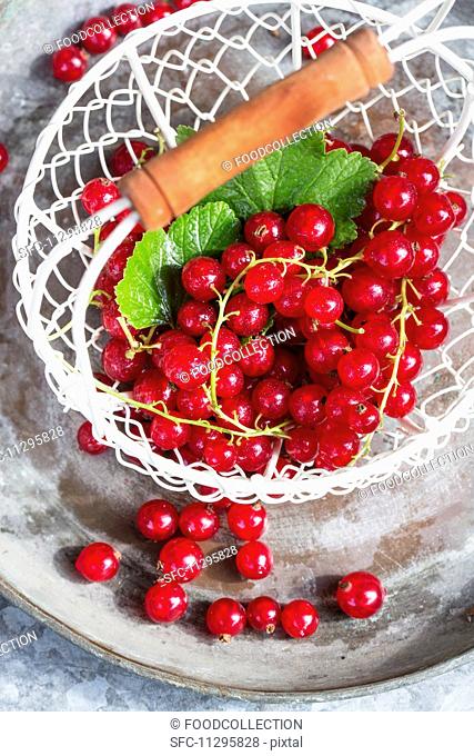 A basket of redcurrants