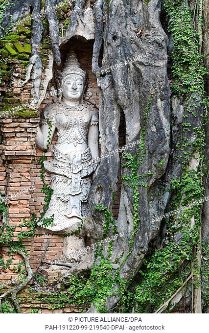22 October 2019, Thailand, Chiang Mai: A tree entwines the figure of a Thai temple guard, also called Teppanom, on the grounds of the Hotel Dhara Dhevi