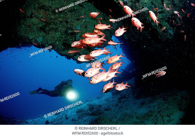 Scuba diver and Blotcheye soldierfishes Underwater cave, Myripristis murdjan, Indian ocean Ari Atol Atoll, Maldives Islands