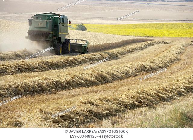 Combine-harvester, wheat fields, Finca Learza, near Estella, Basque Country, Spain