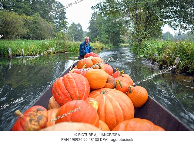 24 September 2019, Brandenburg, Lehde: The 69-year-old Harald Wenske from the Spreewald village Lehde has loaded his traditional wooden Spreewald barge with...