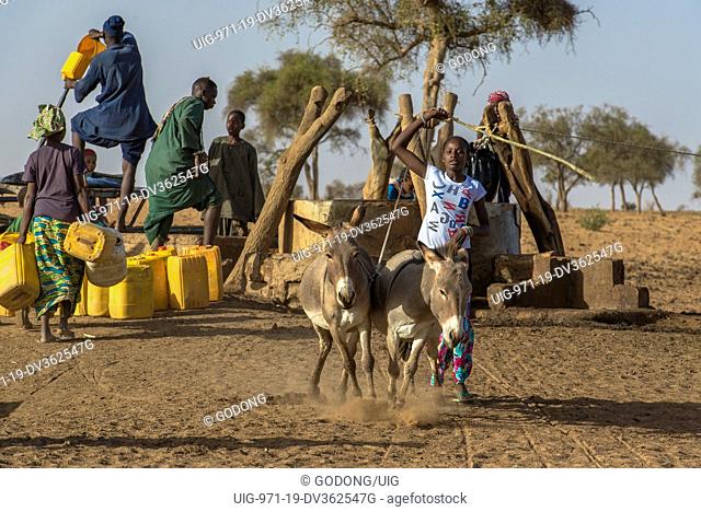 Peul cattle herder using donkeys to fetch water from a well