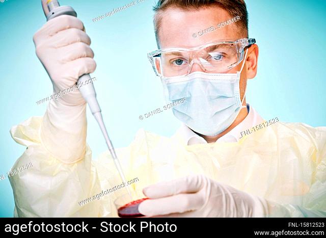 Young laboratory assistant with petri dish looks into camera