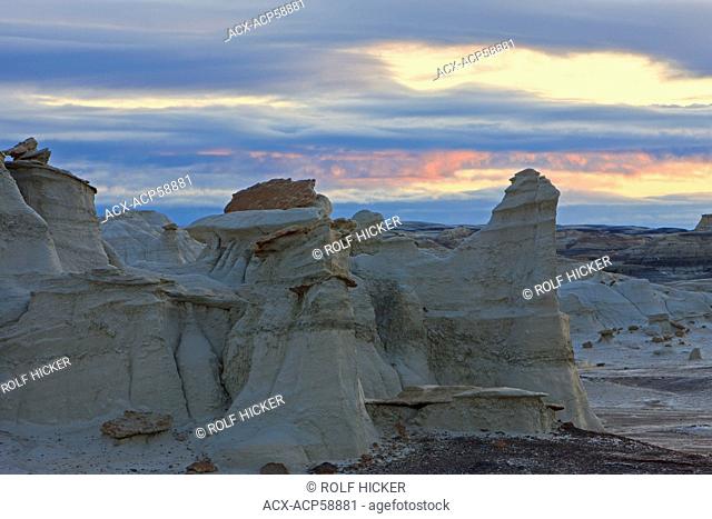 Bisti & De Na Zin Wilderness, New Mexico, USA