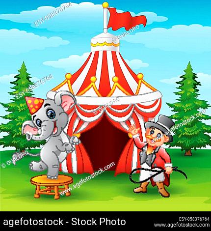 Vector illustration of Circus elephant and tamer on the circus tent background