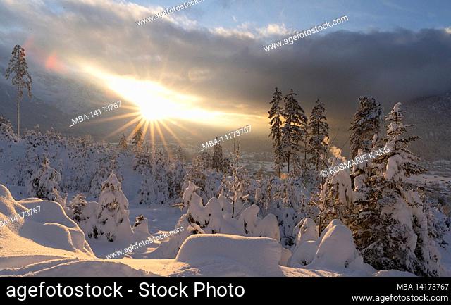 Mountain forest over Garmisch-Partenkirchen in sunshine, Sonnenstern, Bavaria, Germany