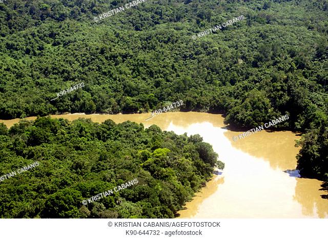 Jungle of Kalimanatan from above with Sesajap River close to Berau, Kalimantan, Borneo, Indonesia, Southeast Asia