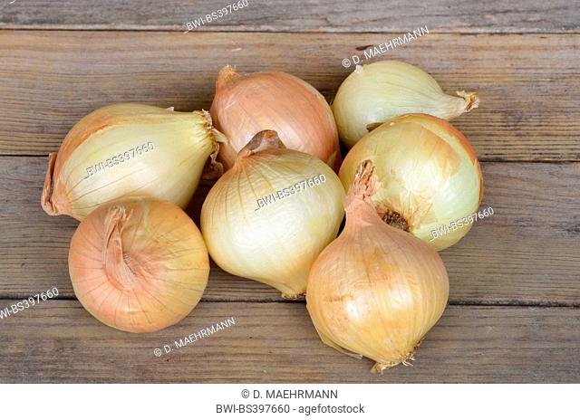 Garden onion, Bulb Onion, Common Onion (Allium cepa), fresh sweet onions