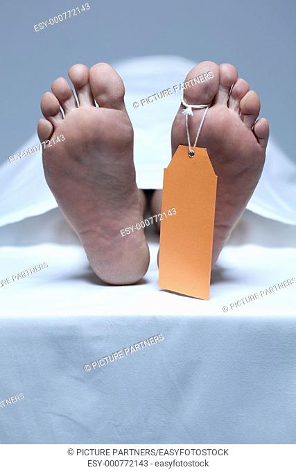 Labeled Feet Of A Corpse In The Morgue