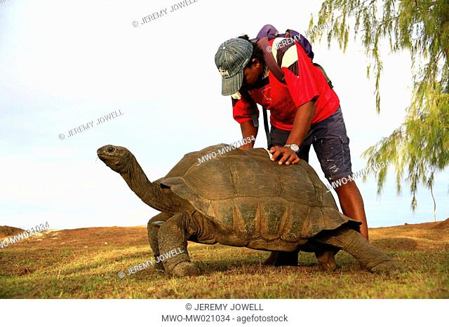 Aldabra tortoise and ranger taking notes for species research on Aldabra Island in Seychelles, giant tortoises, endangered species 12-04-2006