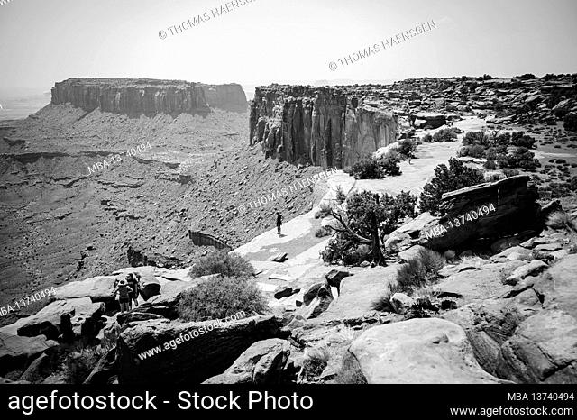 Grand View Point. Scenic pullout & easy 2-mi. hike along the mesa rim with sweeping vistas of dramatic canyon terrain in Canyonlands National Park, Utah, USA