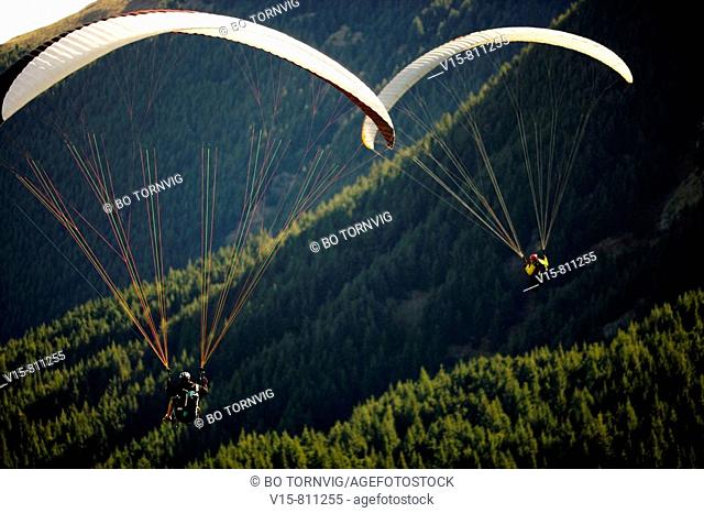 paragliders flying over forest