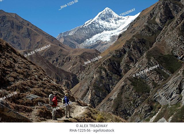 Trekking in the Kagmara valley in Dolpa, a remote region of Nepal, Himalayas, Nepal, Asia