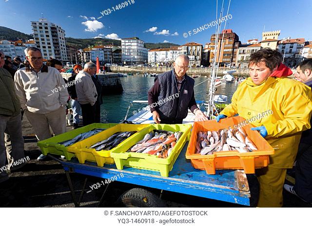 Fishermen unloading fish at port, Castro Urdiales, Cantabria, Spain