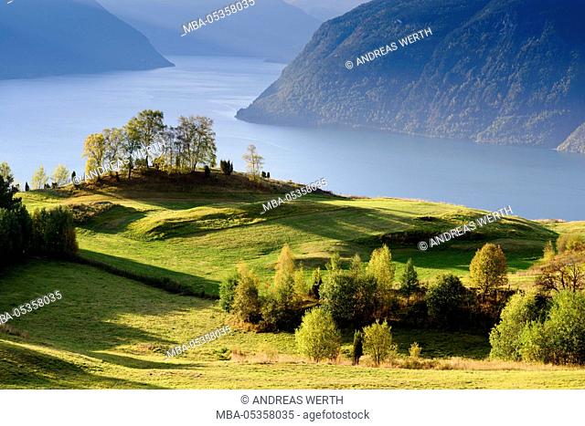 View over meadows and trees towards the Lustrafjord, the inner branch of the Sognefjord, Lustrafjord, Sogn og Fjordane, Norway, Europe