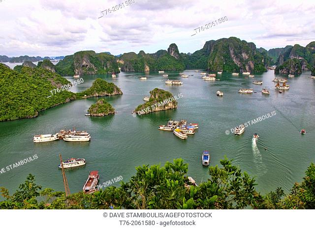 traditional junks sailing in Halong Bay, Vietnam