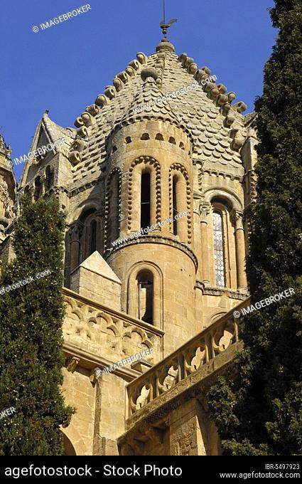 Old Cathedral, Salamanca, Castilla y León, Spain, Europe
