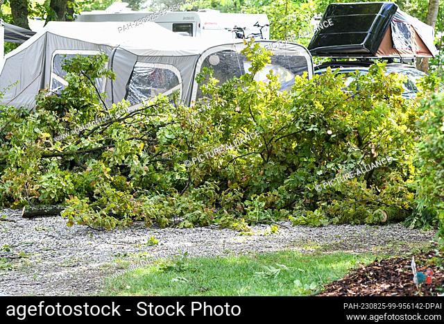 25 August 2023, Bavaria, Lindau: Fallen branches lie on a campsite. The previous night, a severe thunderstorm had passed over the southwest
