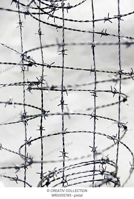 barbed wire fences