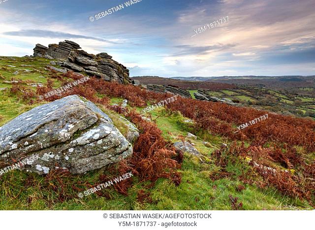 Hound Tor in the Dartmoor National Park, Devon, England, UK, Europe