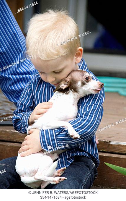 A three-year-old caucasian boy holding a chihuahua