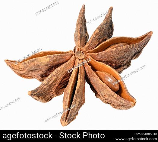 Spice star anise on white isolated background, close up