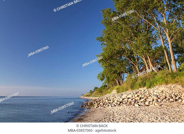 Steep coast and the Baltic Sea in Dahme, Holstein, Ostholstein, Schleswig - Holstein, Germany