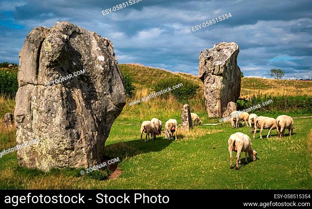 Impressive standing stones from the historic circle in Avebury Wiltshire. Sheep can be seen grazing amongst the massive rocks. united kingdom