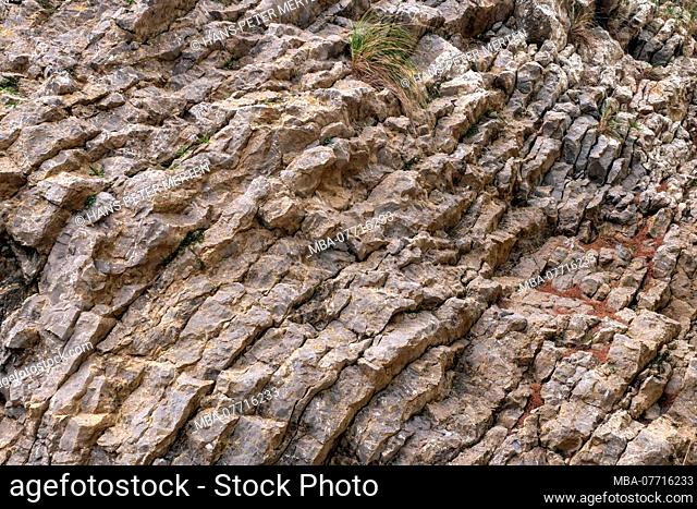 Rock cross section on the Victoria peninsula near Alcudia, Majorca, Balearic Islands, Spain