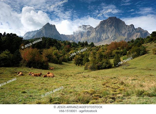 During the summer months, ranchers raise cattle to the fertile pastures at the foot of Peña Telera