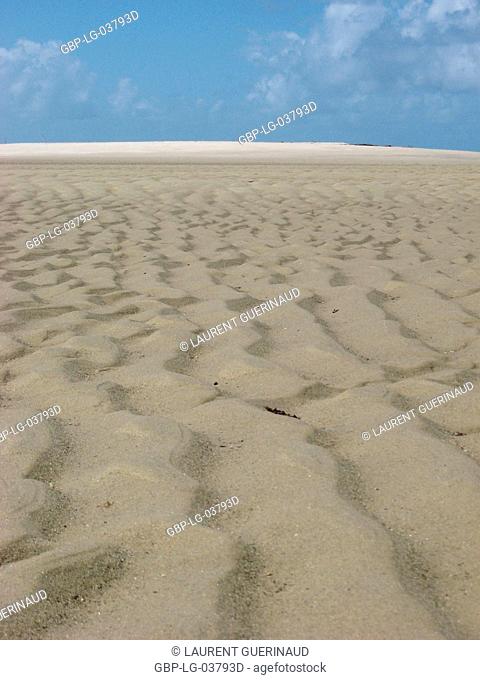 Beach, Dunes, São Paulo Hill, Salvador, Bahia, Brazil