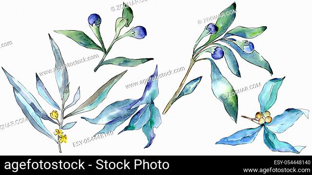 Blue elaeagnus leaves in a watercolor style isolated. Aquarelle leaf for background, texture, wrapper pattern, frame or border