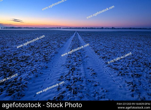 01 December 2023, Brandenburg, Lietzen: The evening sky lights up over a field at sunset. Photo: Patrick Pleul/dpa. - Lietzen/Brandenburg/Germany