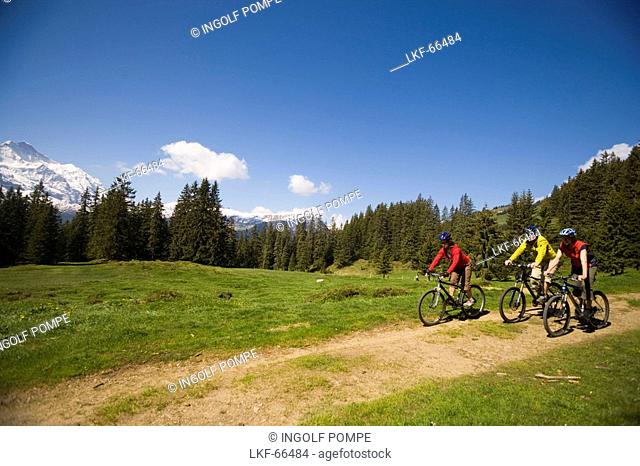 Three people riding mountain bikes at Bussalp 1800 m, v Grindelwald, Bernese Oberland highlands, Canton of Bern, Switzerland