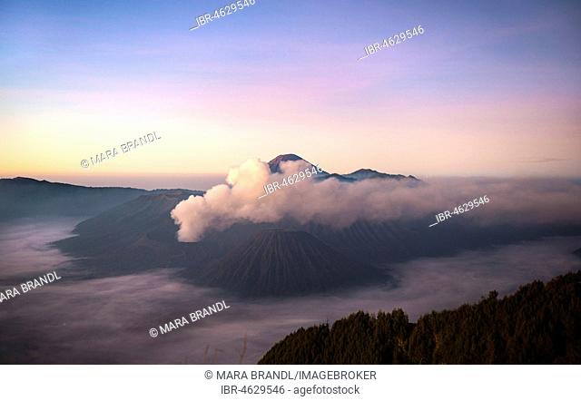 View of Caldera Tengger with volcanoes at sunrise, smoking volcano Gunung Bromo, with Mt. Batok, Mt. Kursi, Mt. Gunung Semeru