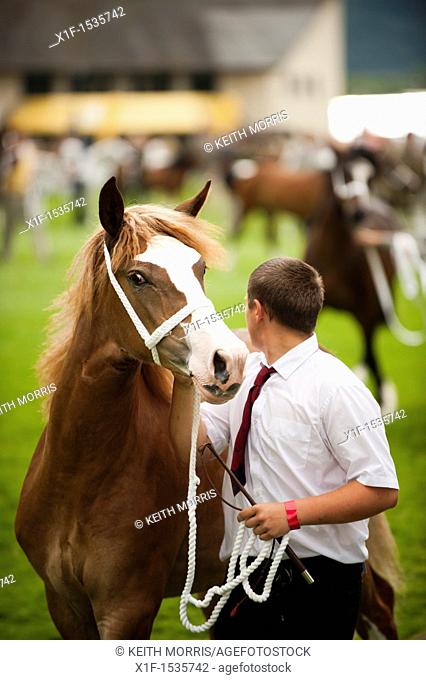 Horses on show at the Royal Welsh Agricultural Show, Builth Wells, Wales, 2011