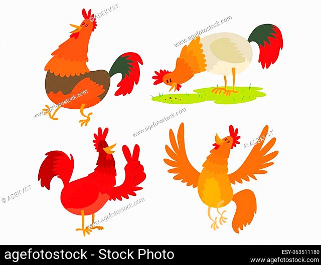 Cute cartoon rooster illustration chicken farm animal agriculture domestic character. Hen fowl color beak fowl cockerel organic torching bird