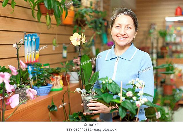 Female florist with Phalaenopsis at flower store
