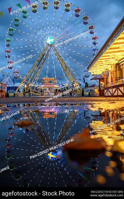 27 September 2022, Saxony-Anhalt, Magdeburg: The Ferris wheel of the Autumn Fair 2022 is reflected in the evening in a rain puddle in which already autumnal...