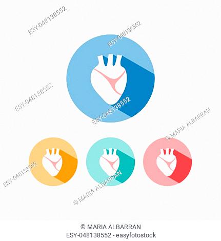 Human heart icon with shade on colored circles. Vector illustration