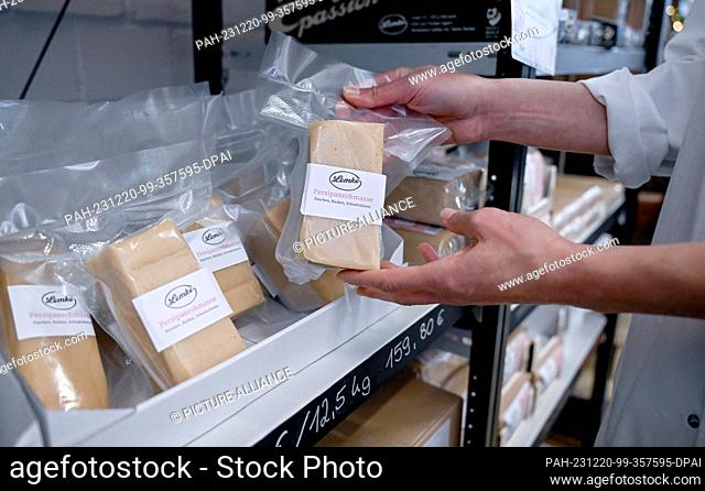 PRODUCTION - 12 December 2023, Berlin: Employee and Head of Marketing Janine Judetzki holds raw persipan paste in her hand in the store of Neukölln marzipan...